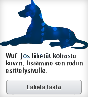 Wuf! Jos lähetät koirasta kuvan, lisäämme sen rodun esittelysivulle.
